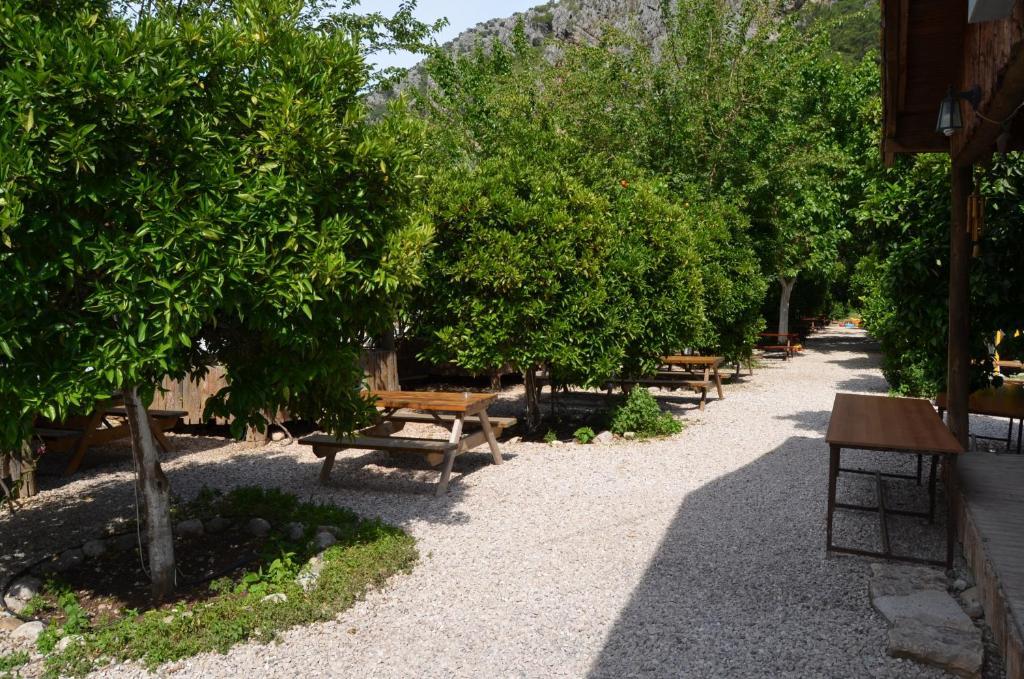 Olympos Yakamoz Pansiyon Exterior foto