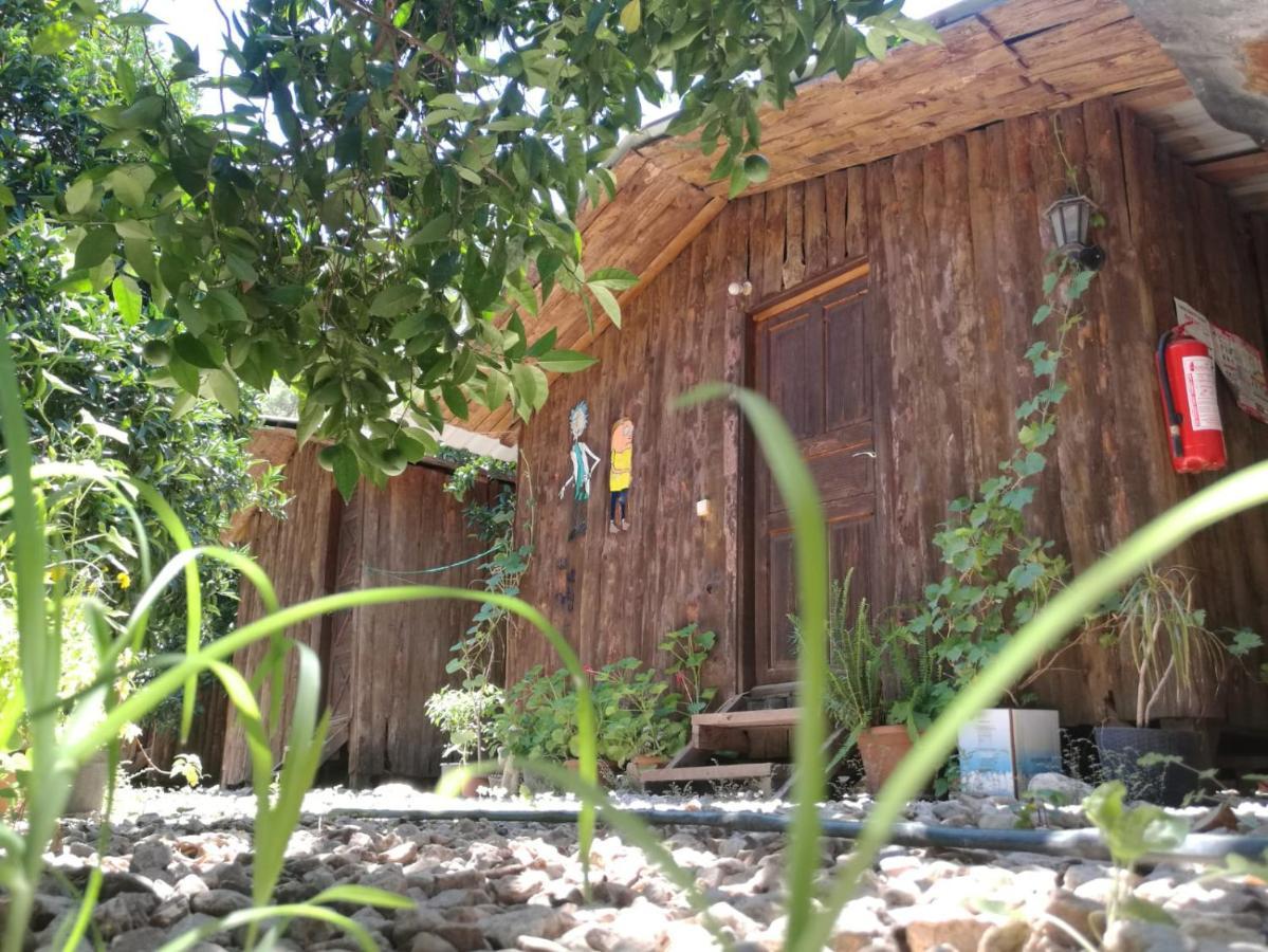 Olympos Yakamoz Pansiyon Exterior foto