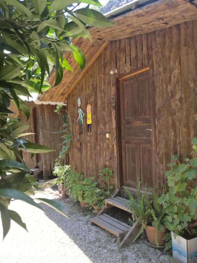 Olympos Yakamoz Pansiyon Exterior foto