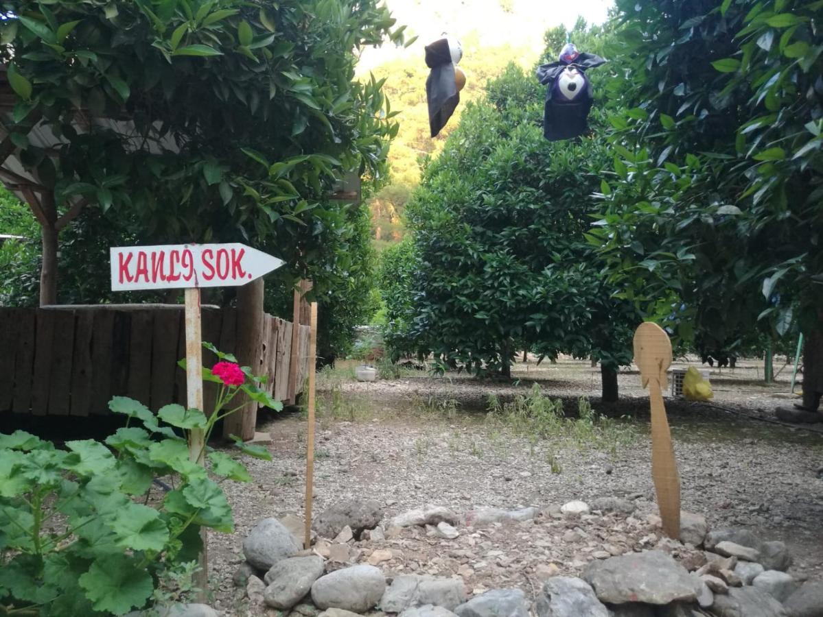 Olympos Yakamoz Pansiyon Exterior foto
